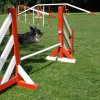 agility 2011-07-24